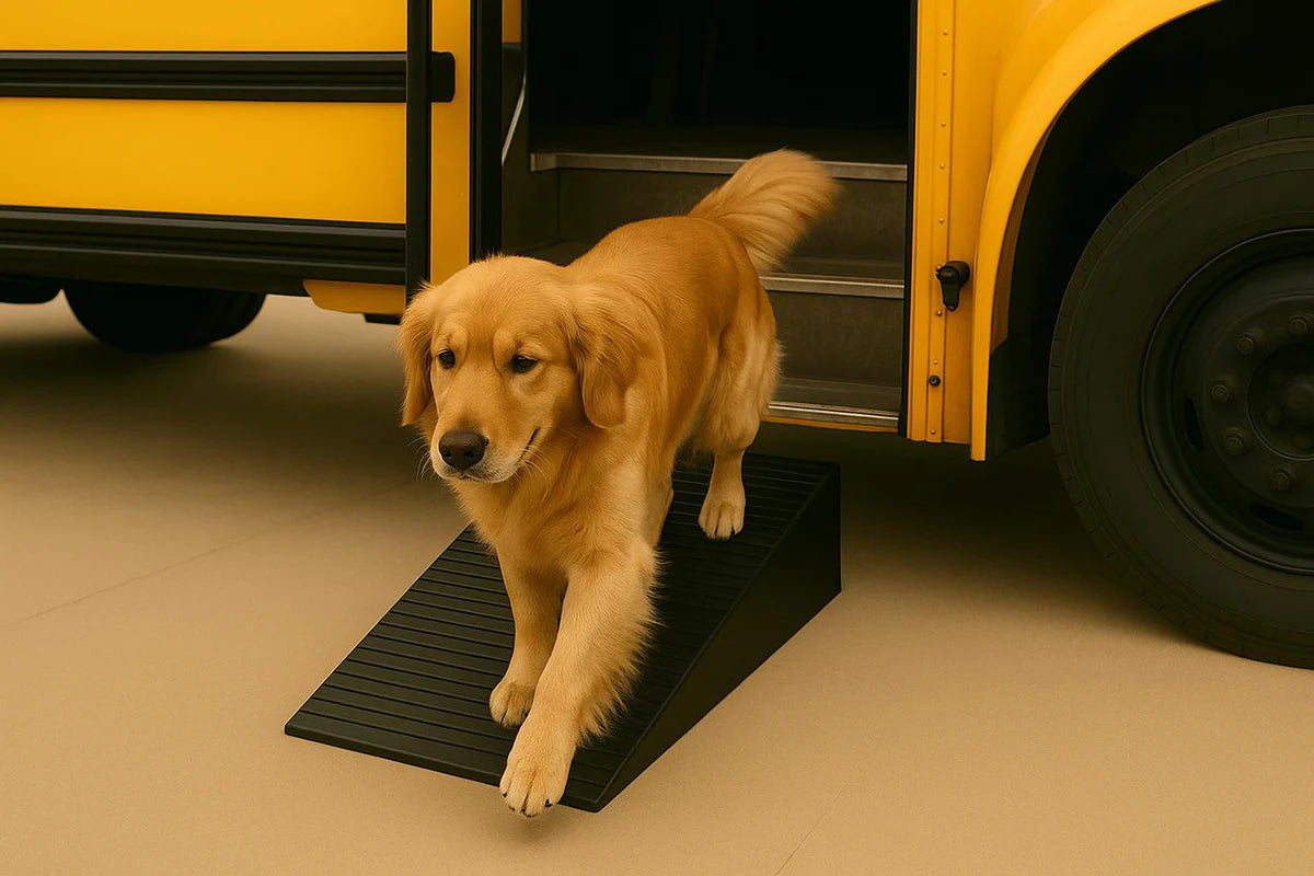 Heavy-Duty Pet Step Ramp – Safe Access for Large Pets (115mm to 177mm)